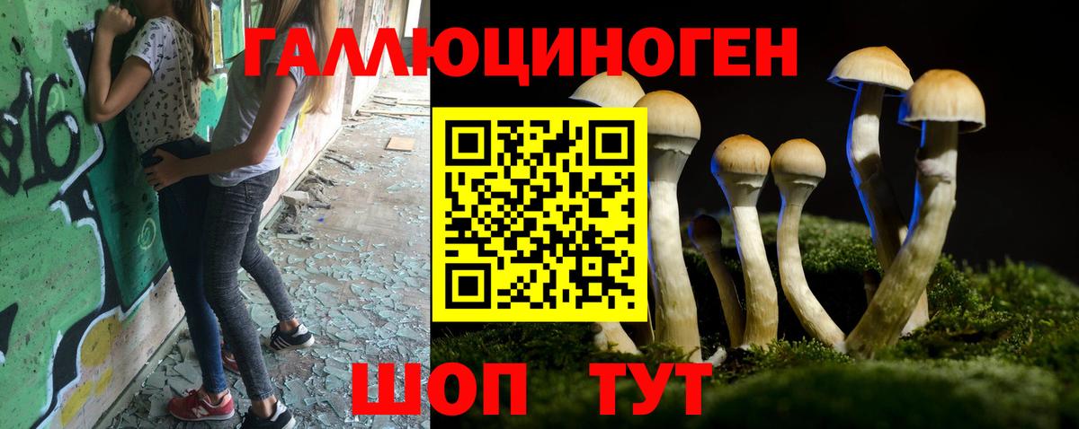 Якутск  Галлюциногенные грибы Psilocybe  Вход с VPN 